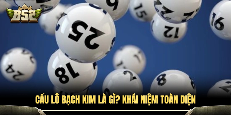Cầu Lô Bạch Kim Là Gì? Bản Chất Và Nguyên Lý Hoạt Động 2 Giải mã thuật ngữ cầu lô bạch kim từ A đến Z